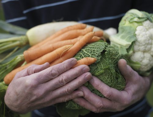 Gardens Grow Healthy Bodies and Peace of Mind